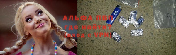 spice Богородицк