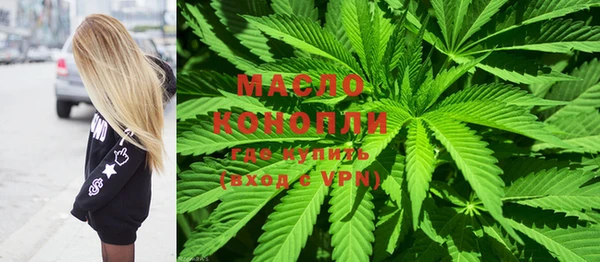 spice Богородицк