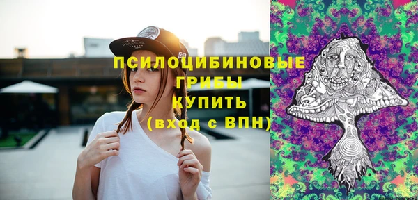 мяу мяу мука Сатка