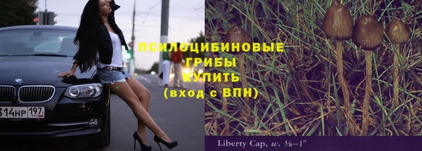 spice Богородицк